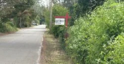 5 Acres in the Redlands