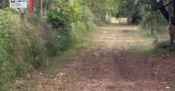 5 Acres in the Redlands
