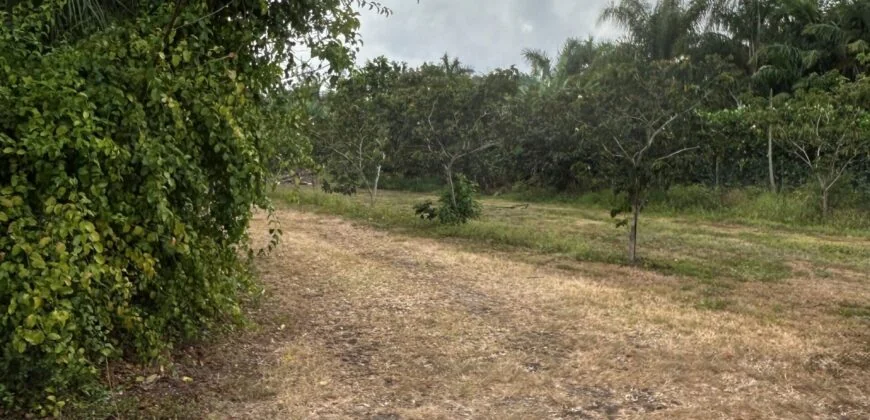 5 Acres in the Redlands