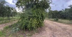 5 Acres in the Redlands