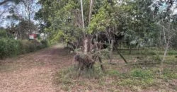 5 Acres in the Redlands