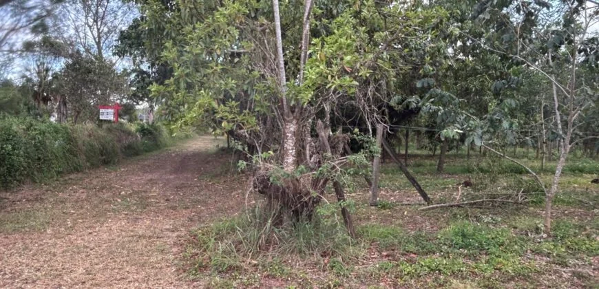 5 Acres in the Redlands